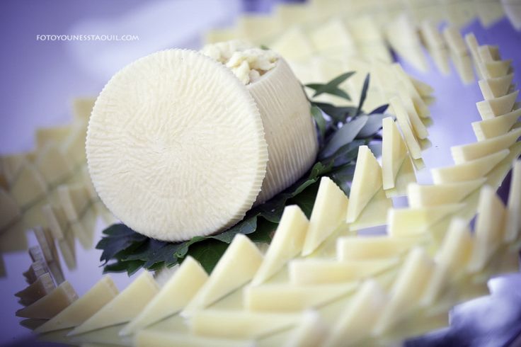 typical Apulian must-have dishes- Apulian cheese